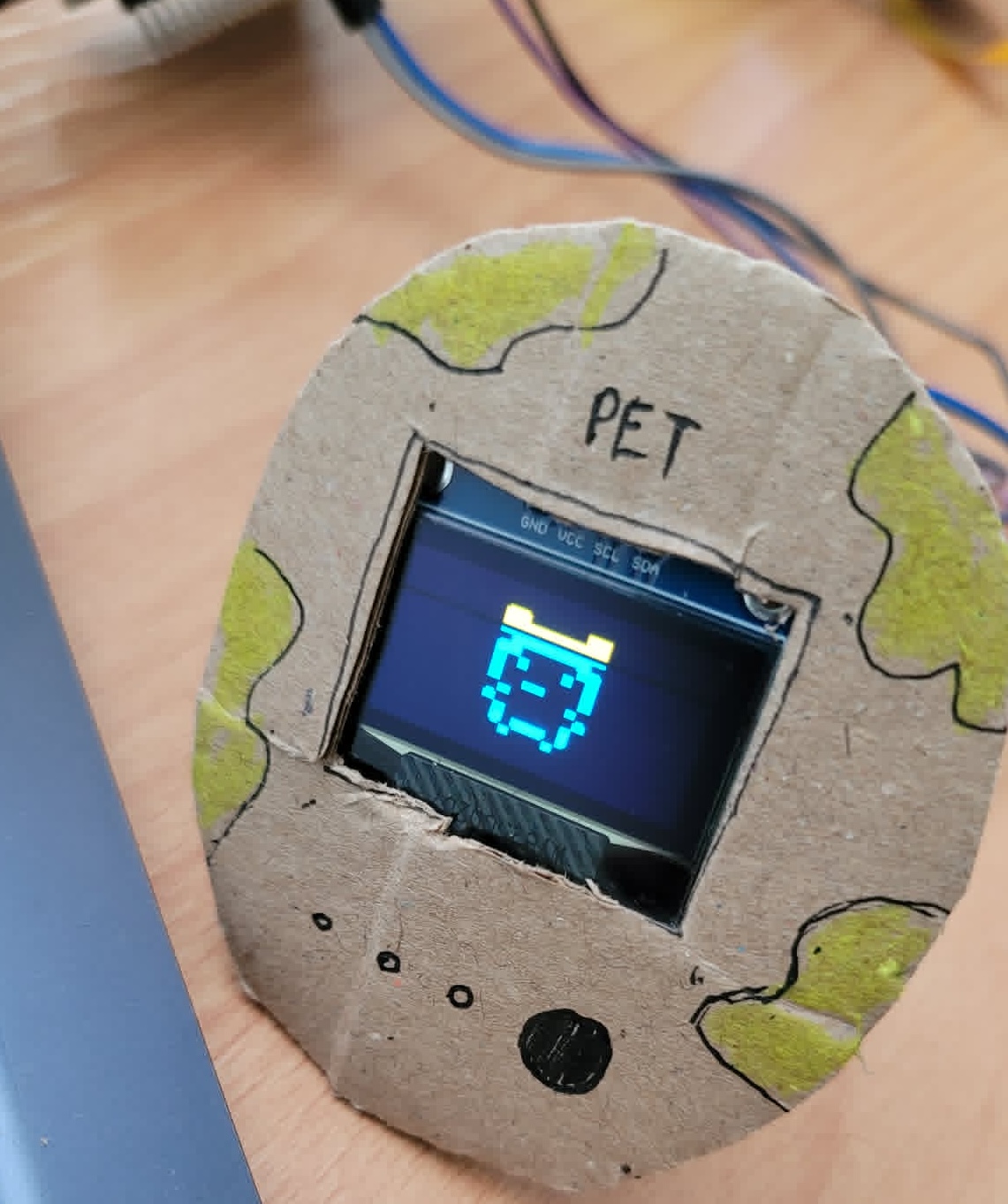pet displaying weather info